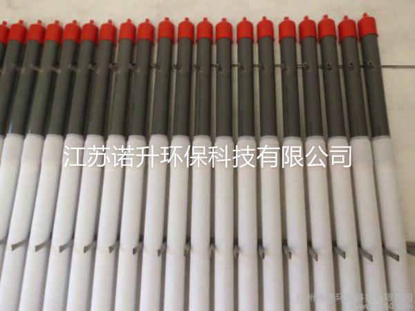 1605579826469912.jpg 2.jpg